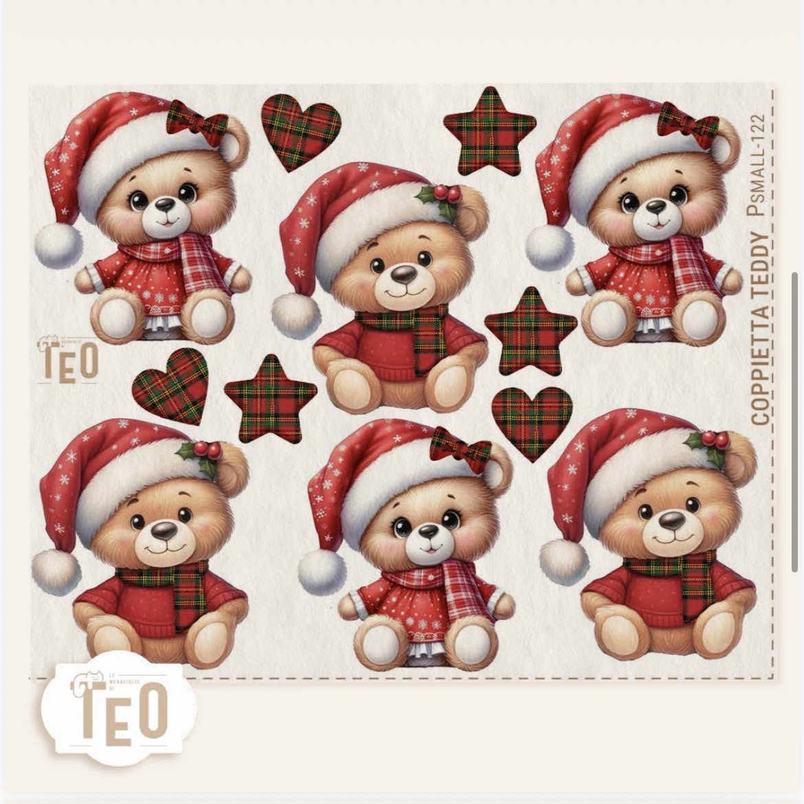 Screenshot P Small 122 Coppietta Teddy